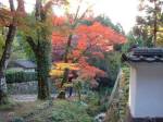 Autumn Tint at Ohara,Kyoto